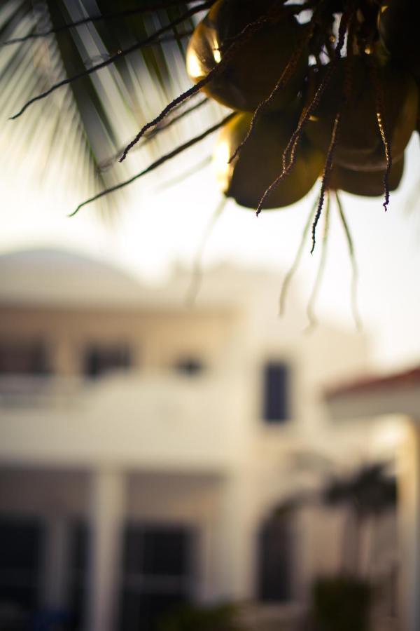Villas Flamingo Akumal Exteriör bild